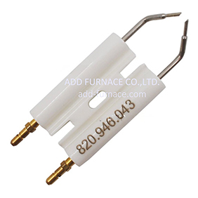Riello Electrode 3007617
